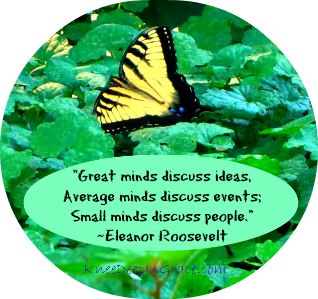 Great minds - Eleanor Roosevelt